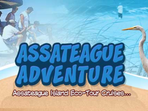 Assateague-Adventure-Ocean-City-MD-01.png