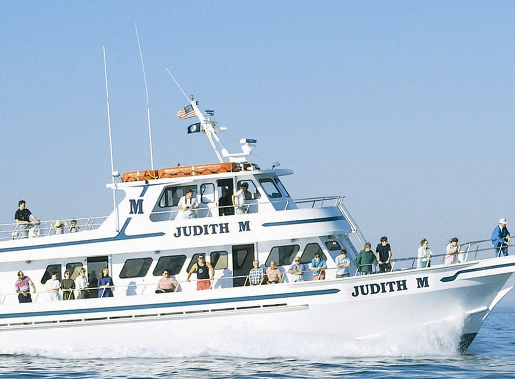 Judith M Cruises Ocean City Md Ocbound Com