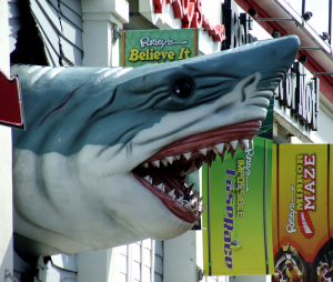 Ripleys-Museum-Ocean-City-MD-04.png