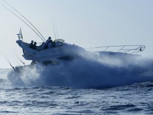 White-Marlin-Marina-Ocean-City-MD-01.png