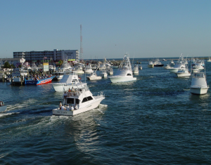 White-Marlin-Marina-Ocean-City-MD-02.png