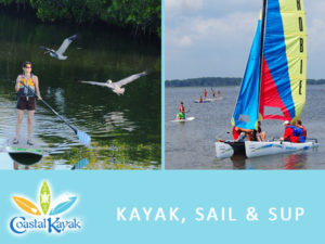 Coastal Kayak Kayak SUP Sailing Fenwick Island DE