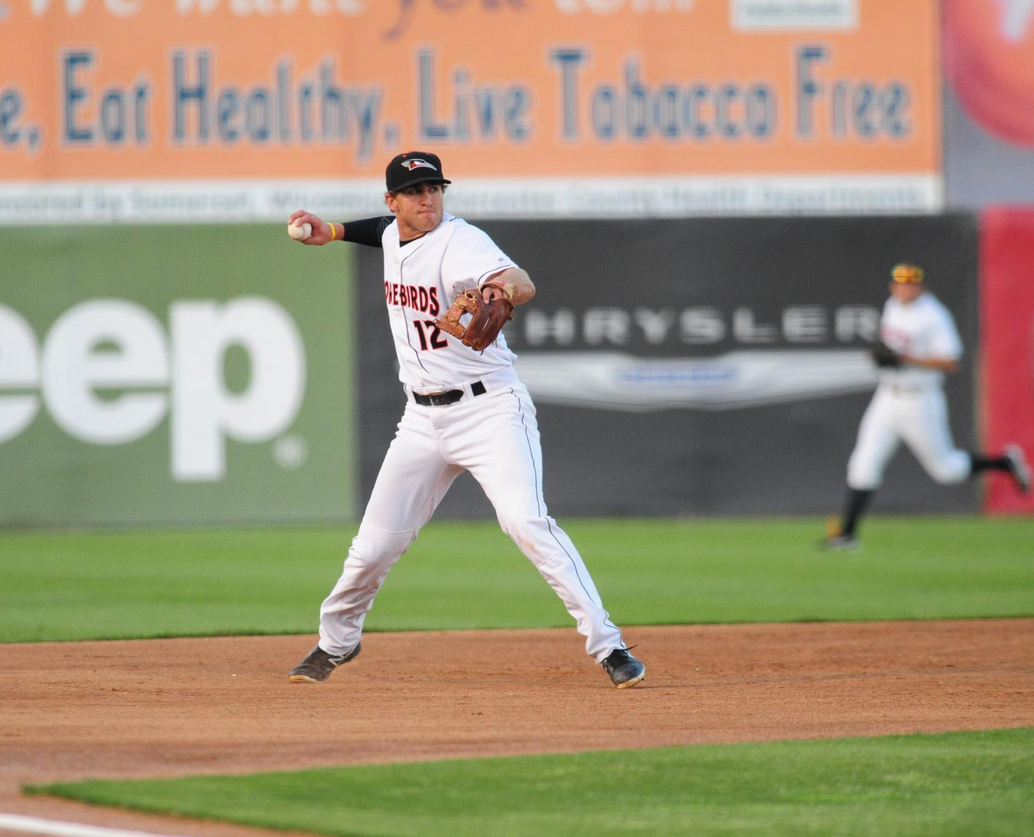 Delmarva-Shorebirds-Ocean-City-MD-01.png