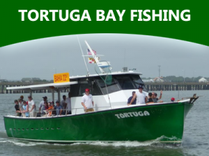 tortuga-bay-fishing-ocean-city-400-300-01.png