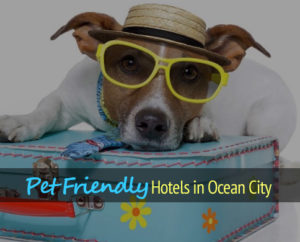 Hotels Ocean City Md Pets Allowed