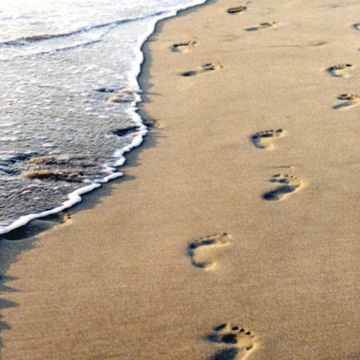 Best Hidden Gems Things to Do, Visit Virginia Beach VA